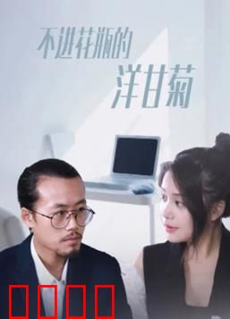 不进花瓶的洋甘菊：野花的倔强