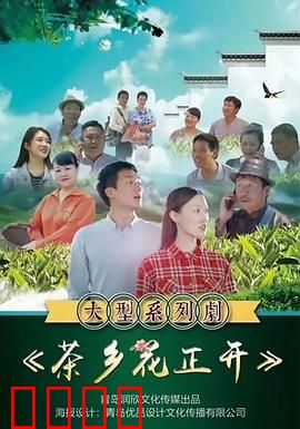 茶乡花正开：茶香里的青春