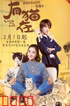 有猫在：猫奴必看！治愈指数爆表