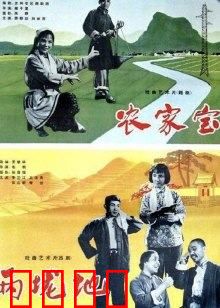 农家宝：勤劳致富的农村故事