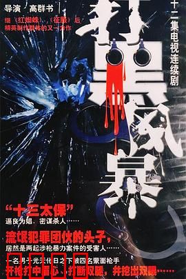 打黑风暴：正义之光永不灭