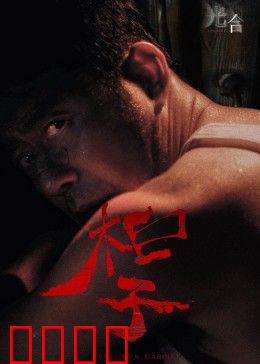 光合计划：绿能革命