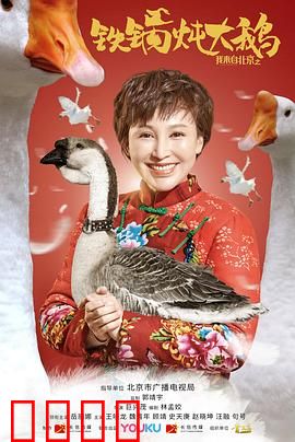 我来自北京之铁锅炖大鹅：回乡创业记