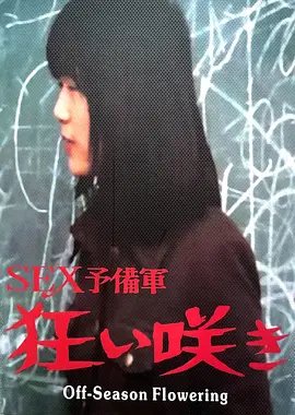 淡季花开：逆境绽放之美