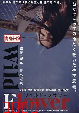 青春H2之狂野之花：禁忌之恋