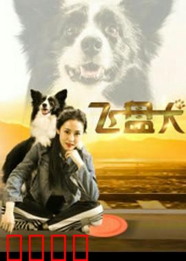 飞盘犬：逆袭冠军