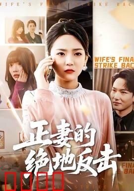 正妻的绝地反击：浴火重生