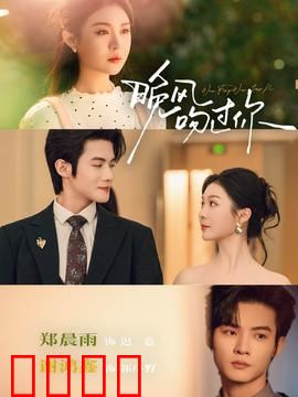 晚风吻过你：黄昏恋歌