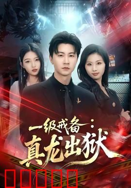 一级戒备：硬汉特工绝地反击