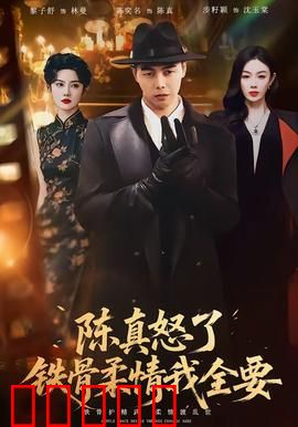 陈真怒了铁骨柔情我全要：热血爱国传奇